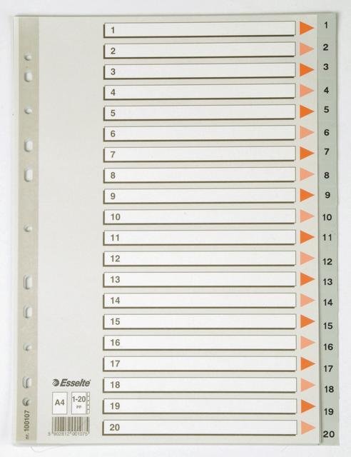 Esselte 1/20 Rakam PP Ayraç