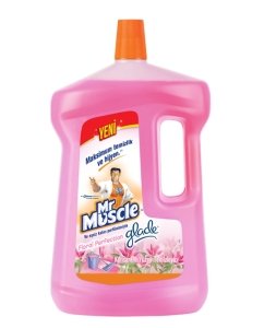 Mr Muscle 2,5 Lt Yüzey Temizleyici Floral